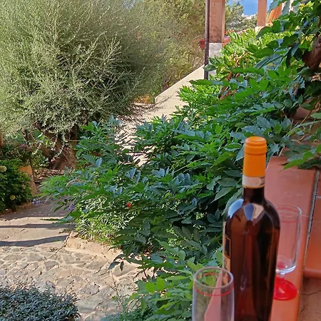 Appartement Grazioso Bilocale A In Costa Smeralda