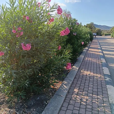 Grazioso Bilocale A In Costa Smeralda *
